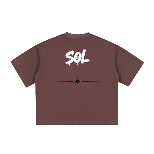 SOL Relic Boxy Tee — vintage wash boxy tee, view 13