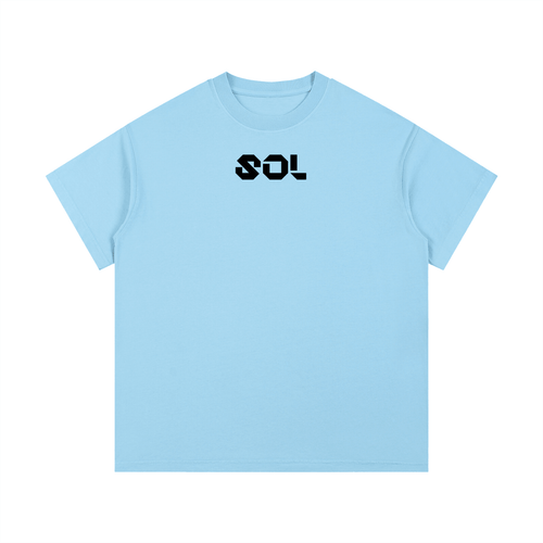 SOL Vintage Wash Cotton T-Shirt — view 9