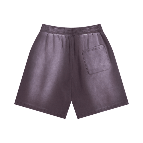 SOL Sun Fade Distressed Shorts — back view
