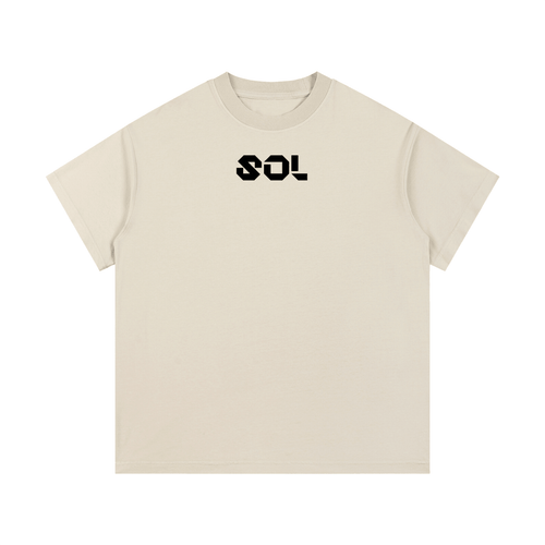 SOL Vintage Wash Cotton T-Shirt — view 3