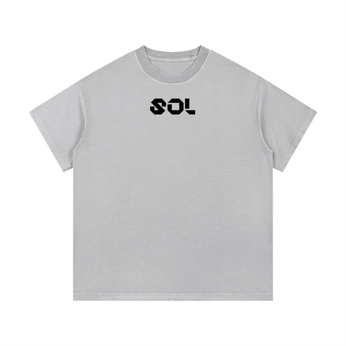 SOL Vintage Wash Cotton T-Shirt — view 5
