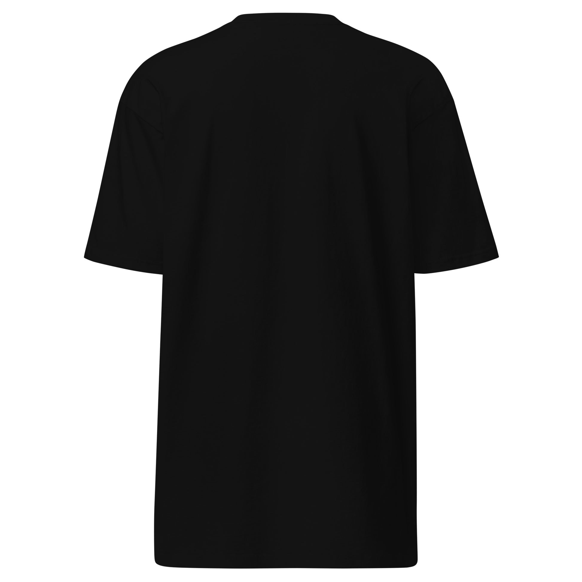 SOL Men's Premium Heavyweight Tee in Black — back view
