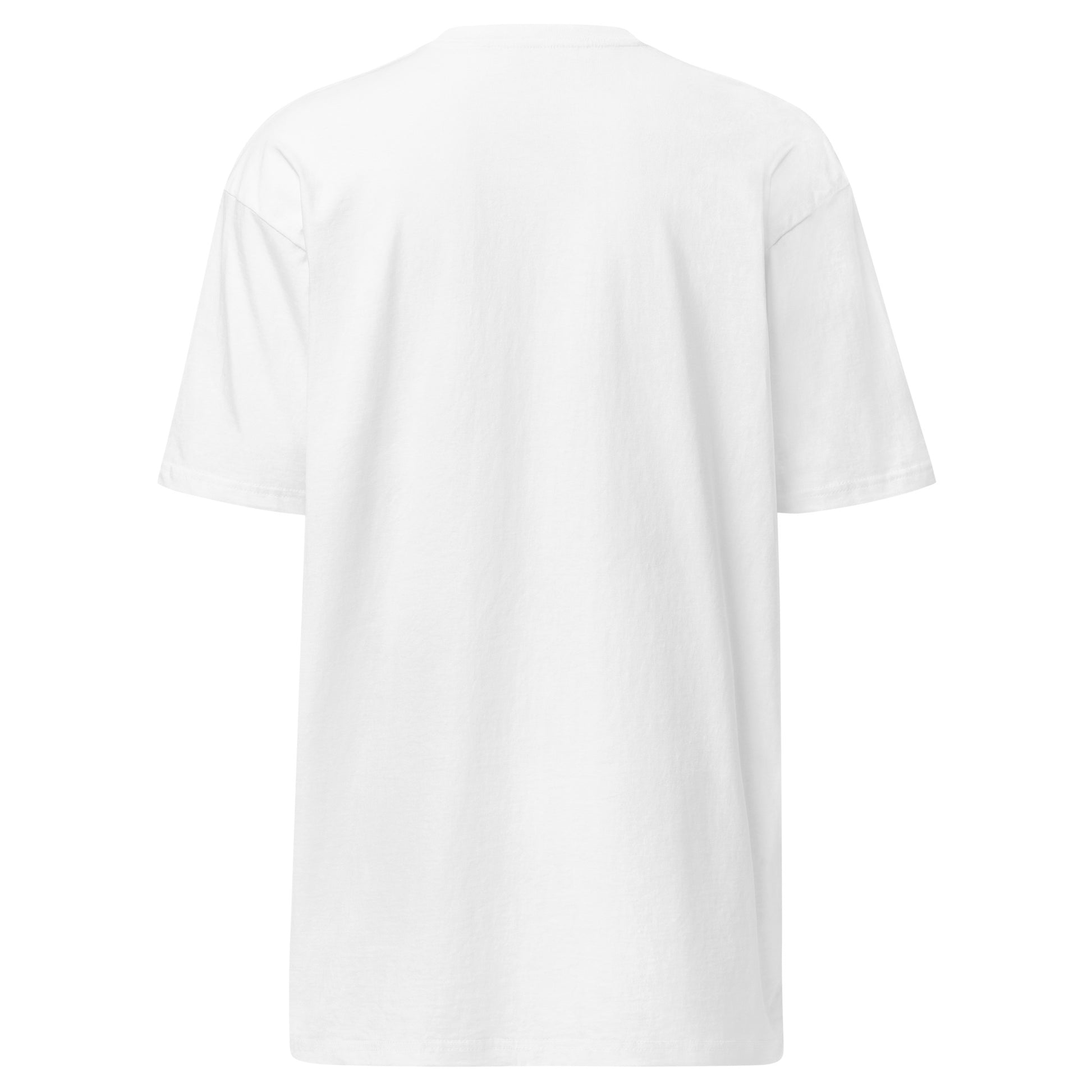 SOL Men's Premium Heavyweight Tee in White — back view